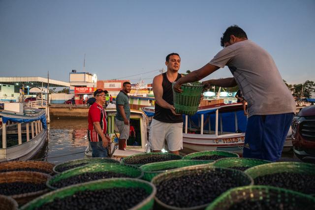 巴西马卡帕：赤道之城的生态与人文风貌