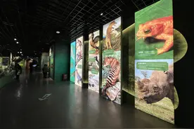 “东方宝石”“植物界大熊猫”……走近浙江珍稀濒危动植物图片