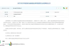 公示！湖北省级制造业单项冠军企业名单出炉图片