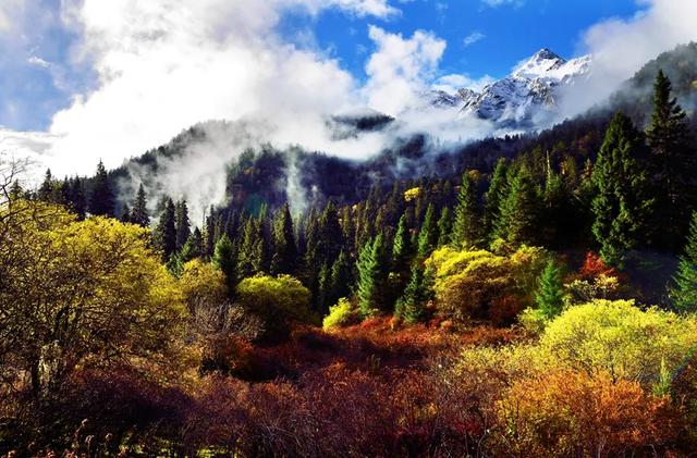 青睐绵阳 ‖ 红透了！周末去平武，沿着“百里彩林走廊”看一场雪山彩林“大片”~