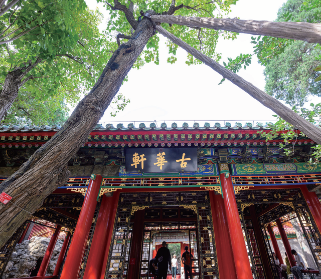 百岁故宫“庆生”记