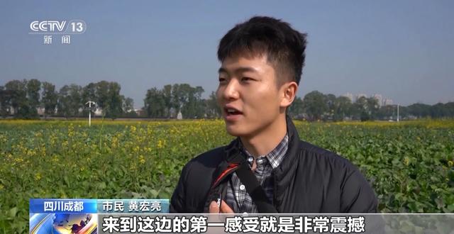 小桥流水、梅花初绽、海天一色 被地铁口的景色美到了