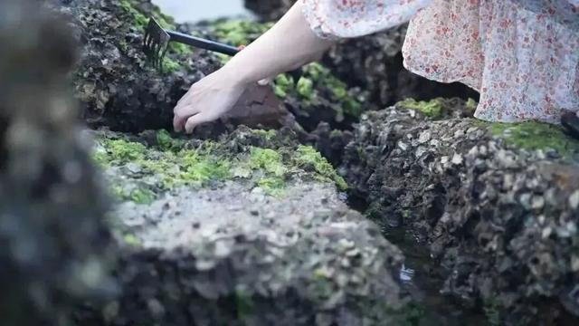 我要去惠州看海了
