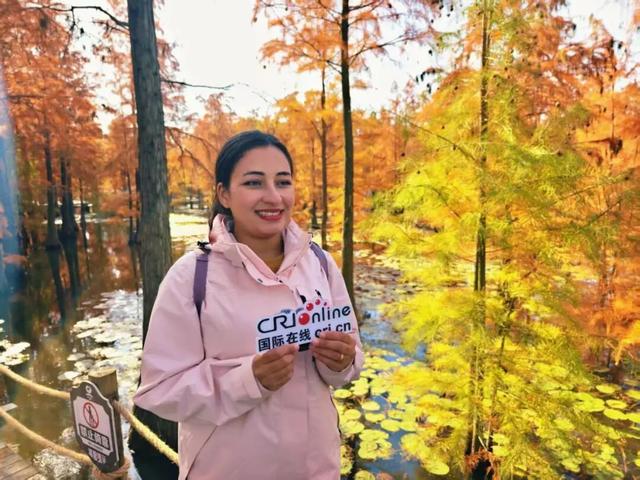 【2025打卡中国】从“百鸟天堂”池杉湖到“改革地标”小岗村 多国网红博主被滁州圈粉！