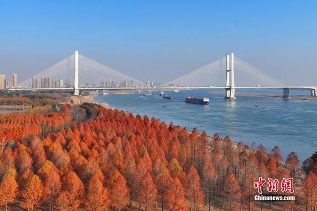 中国新闻社 | 人这一辈子，一定要去一趟荆州品千年楚韵