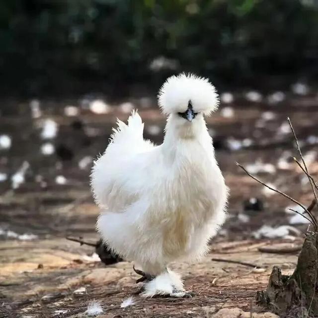 今日立冬 | 鄱湖映霜色，暖食沁人心
