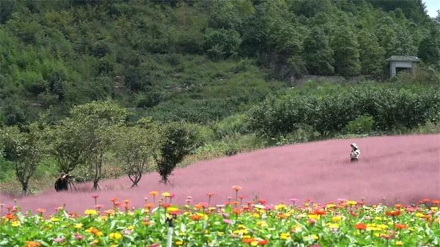 爽玩南明丨南明区：四季有花绘美景 绽放文旅新活力