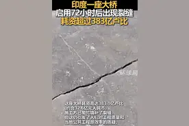 印度一大桥耗资32亿，启用72小时后现裂缝图片