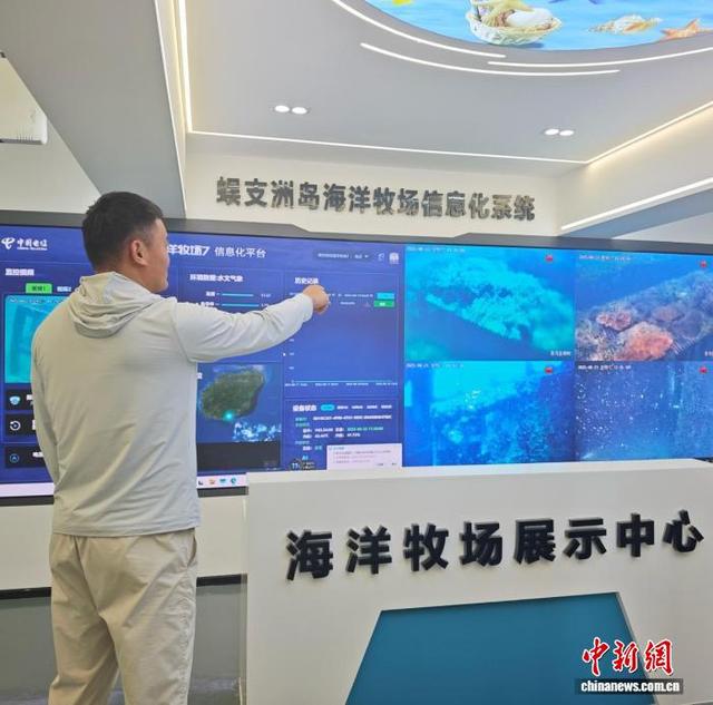 给鱼儿盖房，为珊瑚安家：三亚蜈支洲岛“种”一片海底花园