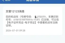 这个证也不用去窗口排号领了，交管服务再升级图片