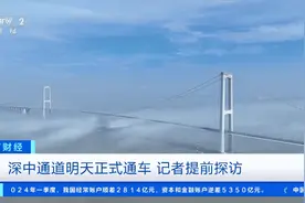 深圳↔中山30分钟！深中通道明日正式通车，记者带你先睹为快→图片