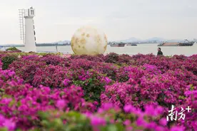 繁花有约，遇见横栏｜百里西江·中山画廊④图片