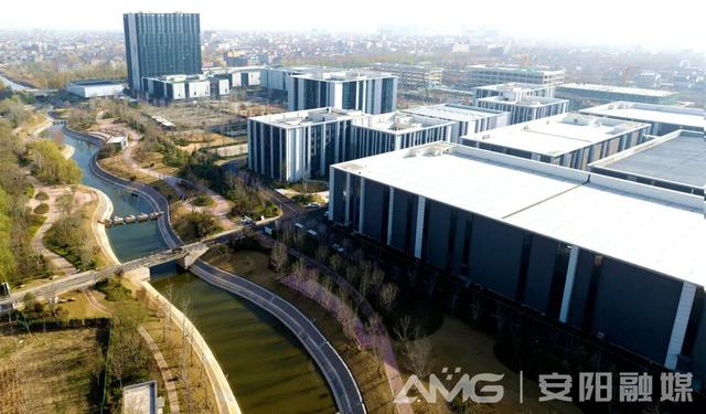 这几年，白鹭爱上了安阳