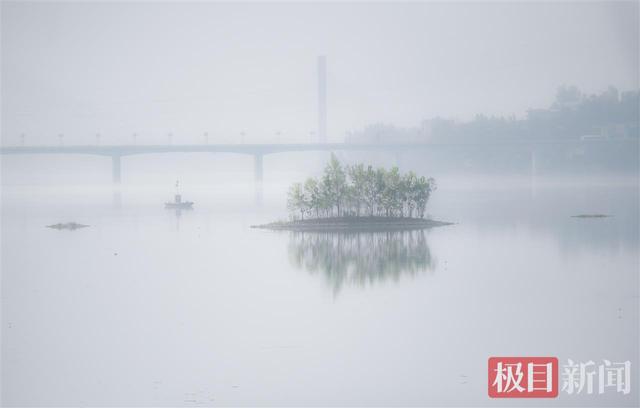 晨雾拥湿地，丹江口沧浪洲湿地公园上演“仙境大片”