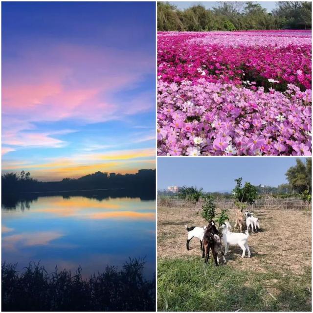 这么近，这么美，打卡来钦北！