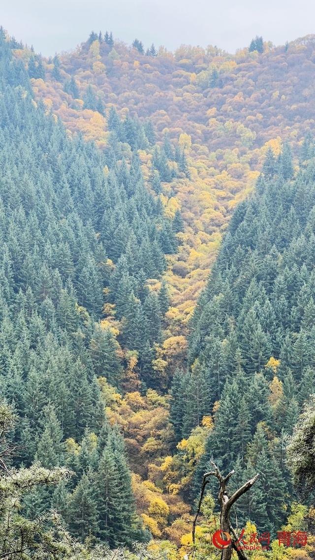 卡阳秋色映高原 田园云雾入画来