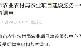 鸡西市密山市农业农村局农业项目建设服务中心原主任尹德海被查图片