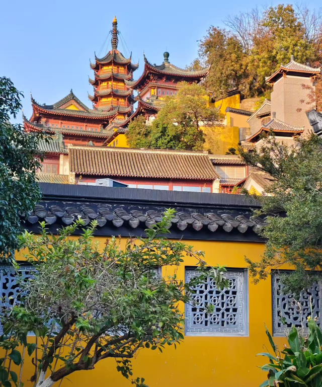 镇江，你变了！