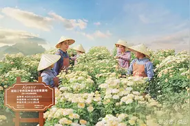 蔻斯汀：长期主义的胜利图片