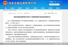 每年至少一次内部审计！监管聚焦保险集团公司“集中度风险”图片