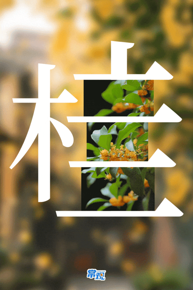 美翻了！大批常州人出动！