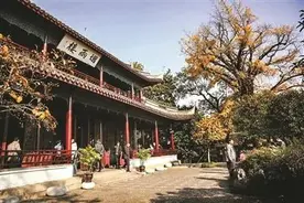 金庸诞辰百年，嘉兴召开“烟雨楼大会”图片