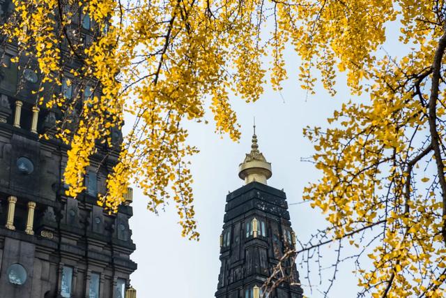 别再瞎找了！这张“黄金版图”全是惊喜