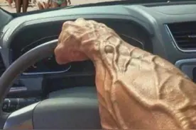 玩家恶搞《GTA6》沙滩玩法：开车无脑碾人就完事图片