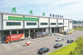 货畅其流，让经济脉搏更强劲图片