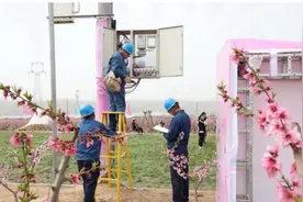 国网平凉供电公司：电“靓”桃花节 助力乡村游图片