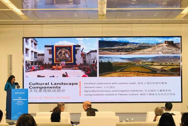 从阿皮亚古道到洛曼塘王城，听专家们谈文化遗产保护的海外经验