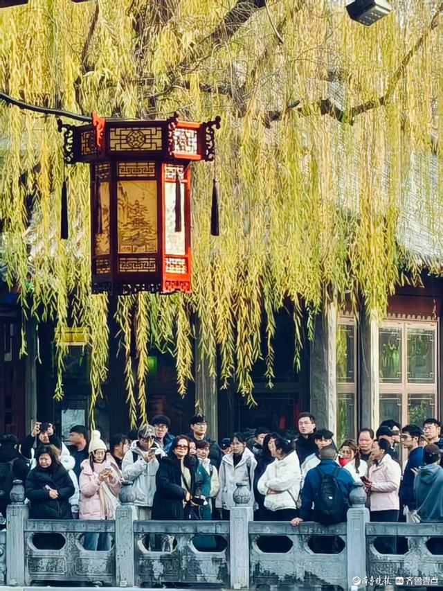 冬日趵突泉，寒风中美景依然