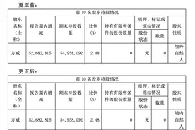 海航实控人成吉祥航空三股东，更多航司间的股权合作怎样了图片