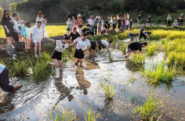 莲乡臻品·美景｜山水杨溪——抚河源里景区