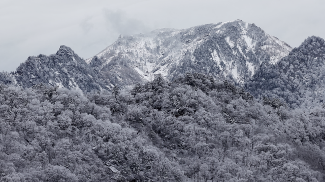 走！进山看西安2025冬天第一场雪！