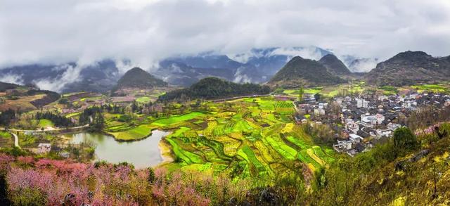 千年银杏韵，金黄满地诗，金色海洋游玩攻略来了！