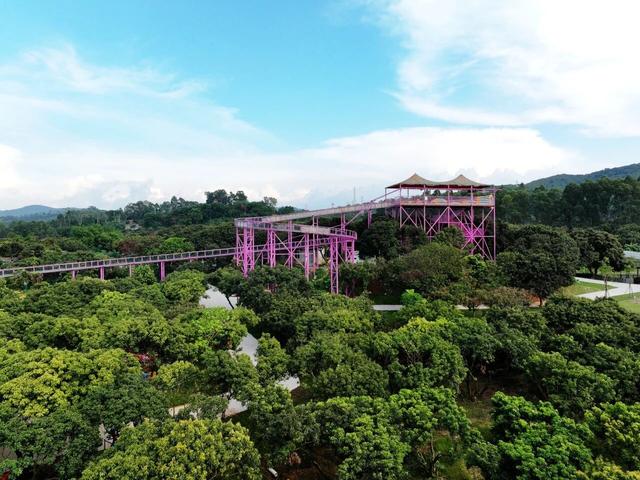 免费！松湖研学玩出新花样：又当匠人，又去探险！