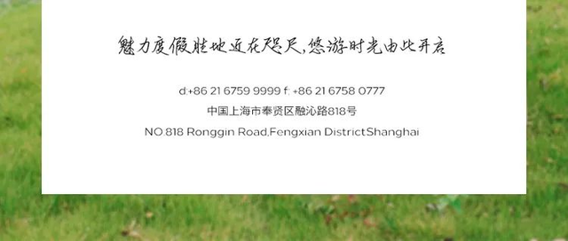 年会尾牙丨鎏金岁月，共启新章