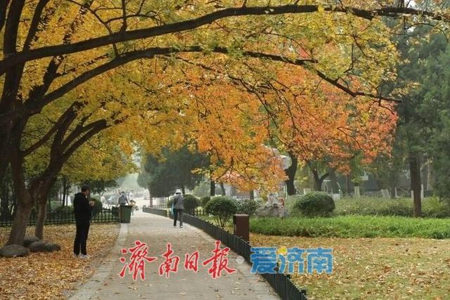 快来打卡公园景区秋色图鉴