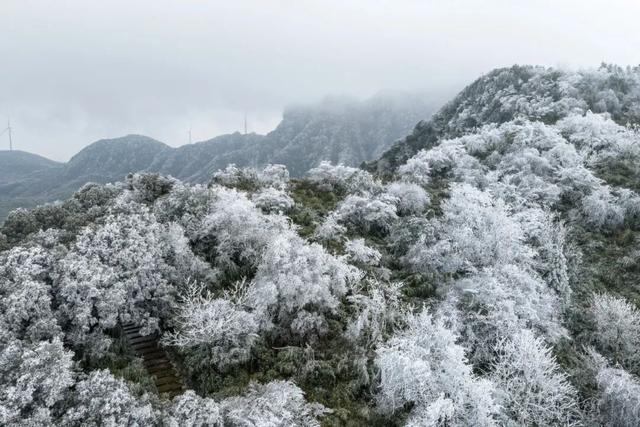 出片率99.99%！快来邂逅綦江版“冰雪奇缘”
