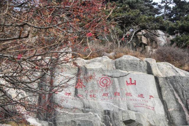 泰山的秋信：半穹澄蓝，半岭楸红