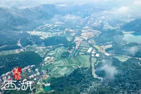 沿江景观与当地茶文化结合 杭州推出钱塘江沿江新游线图片