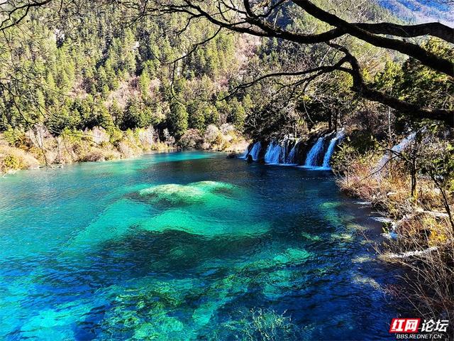 九寨沟的冬日浪漫：雪吻海子，阳光作画，太治愈了