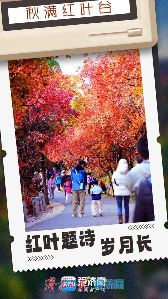 海报合集│济南红叶谷剪映深秋最美时光