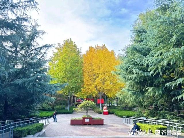 邂逅浪漫秋光，济南市多家公园景区秋色已备好