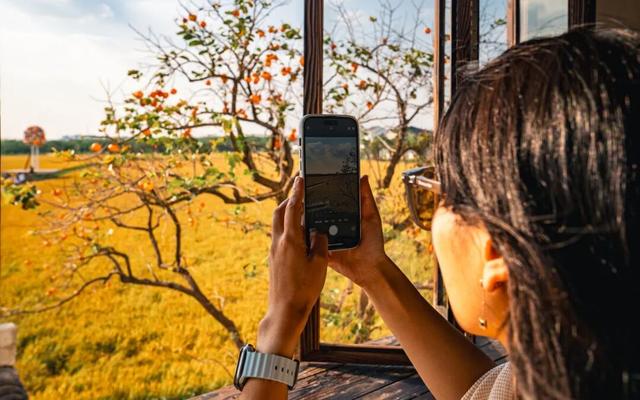 私藏！奉贤的秋，美到封神