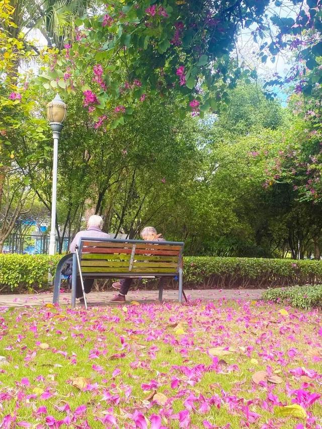 WOW，柳州超多赏秋打卡地，随手出大片！