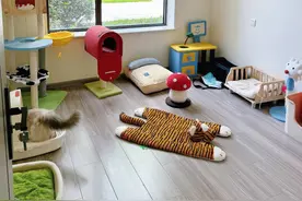 从笼养到别墅 “铲屎官”的宠物托管新选择图片