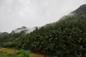 凉飕飕！一场雨，贵阳降温6℃！今天贵州多地继续暴雨图片