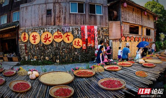 欢庆时刻丨湖南通道：芋头古侗寨藏着最浓的侗乡节日味